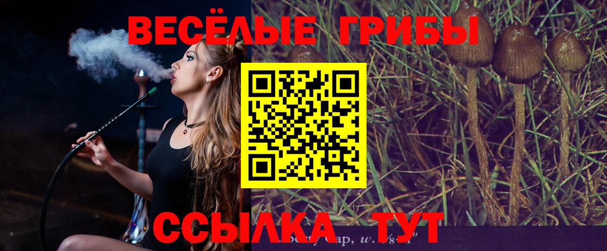 Галлюциногенные грибы мицелий  что такое наркотик  Клин  Вход с VPN  Галлюциногенные грибы Magic Shrooms 